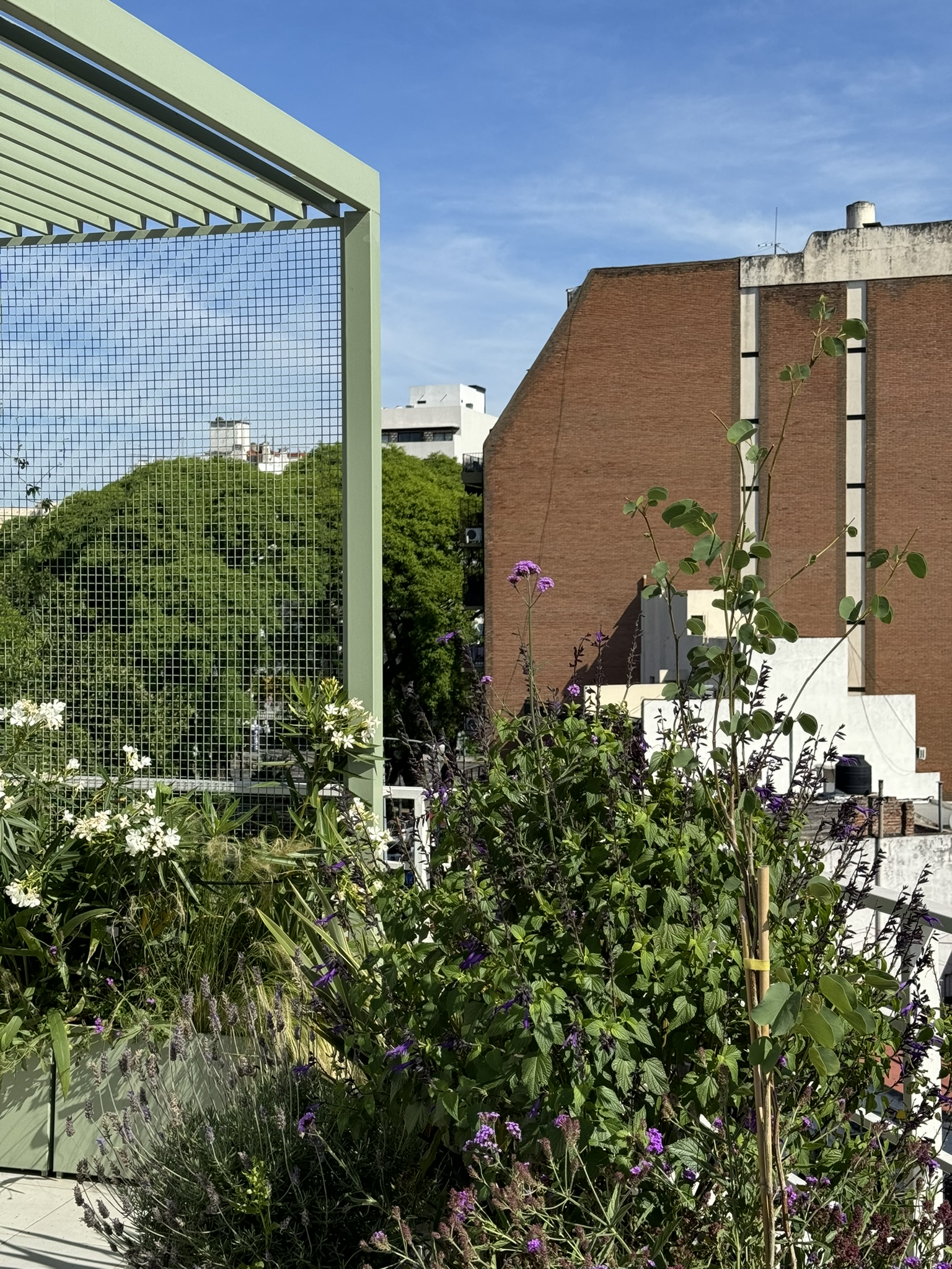 Una terraza transformada en espacio verde para compartir