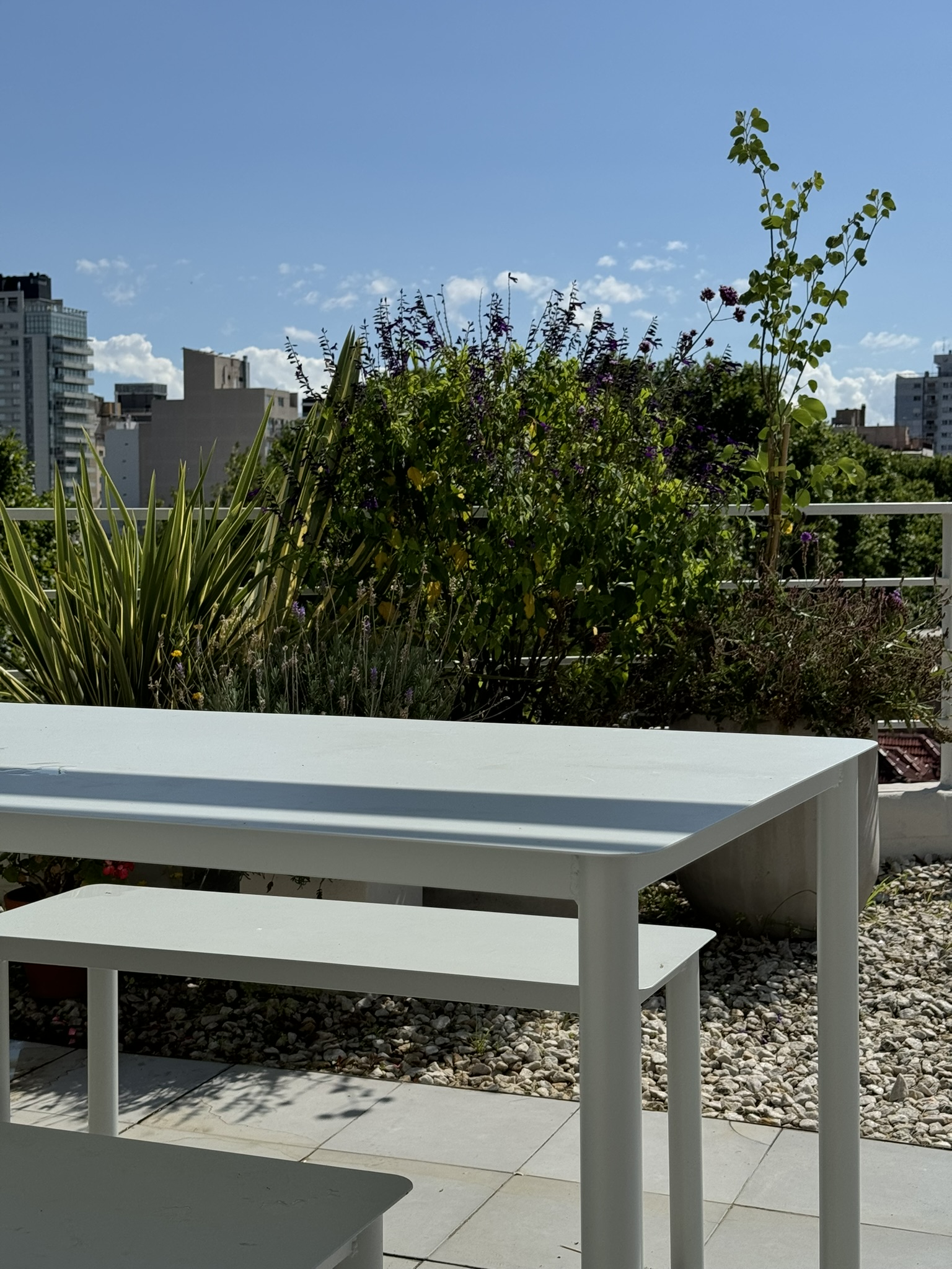Una terraza transformada en espacio verde para compartir