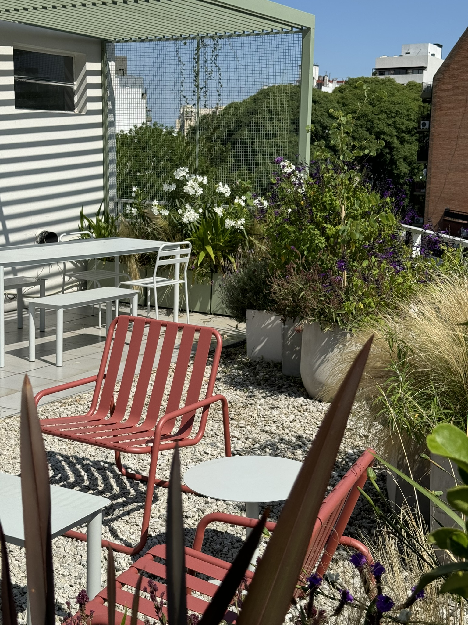 Una terraza transformada en espacio verde para compartir