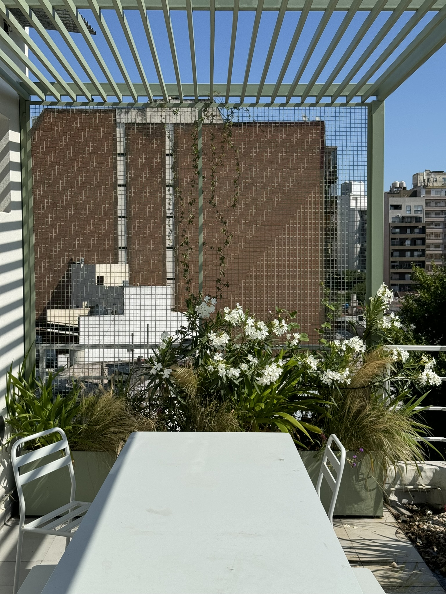 Una terraza transformada en espacio verde para compartir